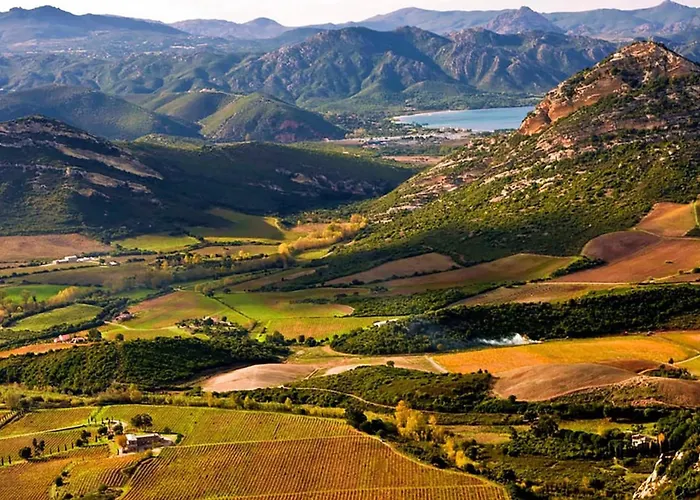 Domaine Ghjulia - Casa Nebbiu Patrimonio