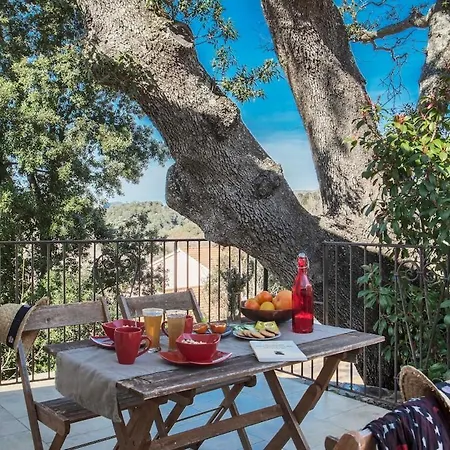 Appartement Domaine Ghjulia Patrimonio