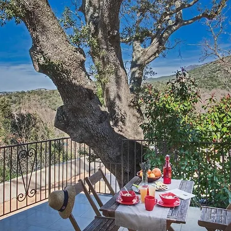 Domaine Ghjulia - Casa Nebbiu Διαμέρισμα *