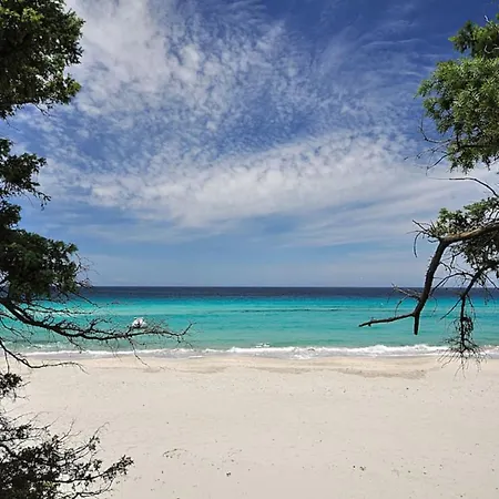 Domaine Ghjulia - Casa Nebbiu *