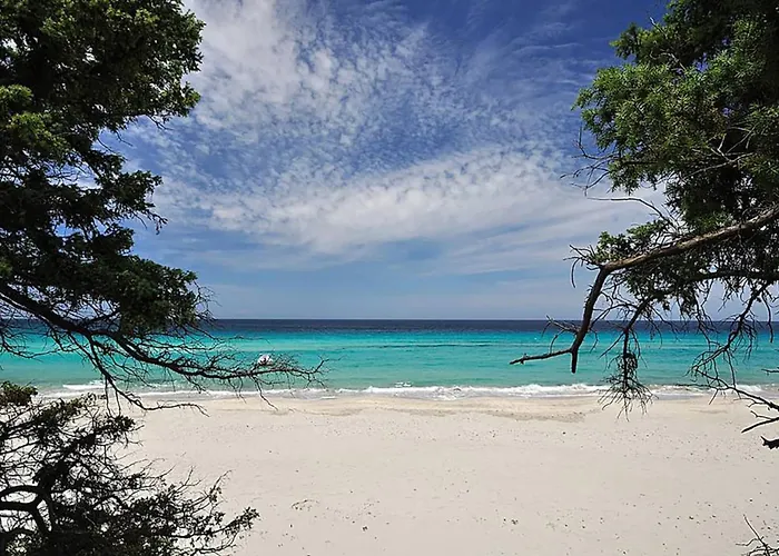 Appartement Domaine Ghjulia - Casa Nebbiu Patrimonio
